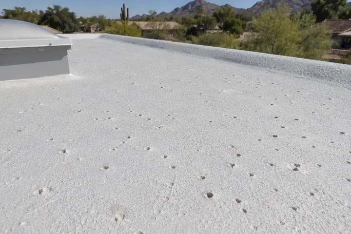 Small peck holes in the surface of a foam roof